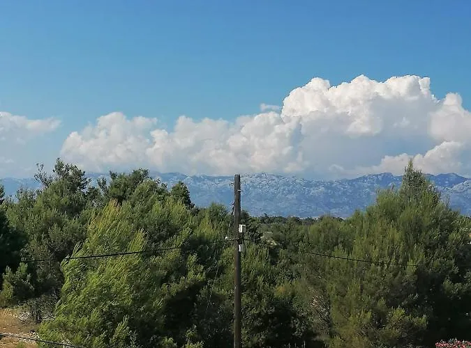 Mare * Vrsi