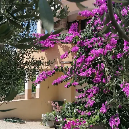 Apartment Mare Vrsi